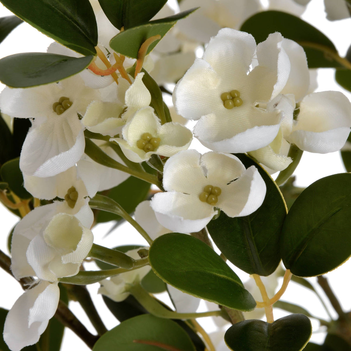 Florence | White Mock Orange Blossom Stem