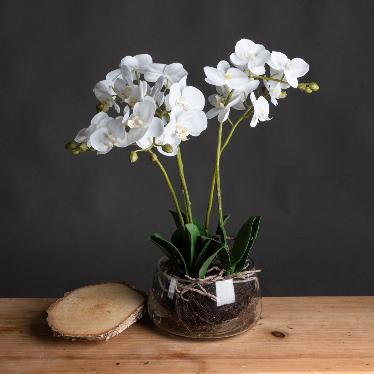 Seraphina | Luxury White Orchid Arrangement In Glass
